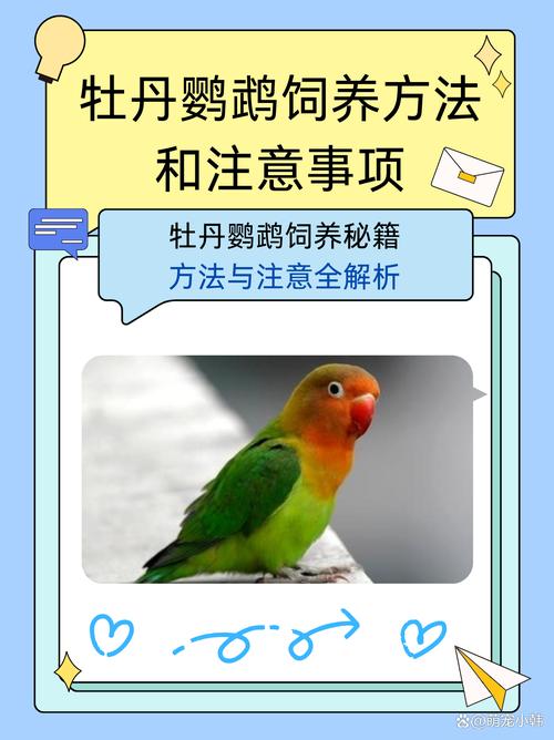 室内能养鹦鹉吗_养室内鹦鹉需注意健康和环境,阳台饲养较好,驯化可减少噪音,但互动性不强,饲养需注意清洁安全 室内能养鹦鹉吗_养室内鹦鹉需注意健康和环境,阳台饲养较好,驯化可减少噪音,但互动性不强,饲养需注意清洁安全