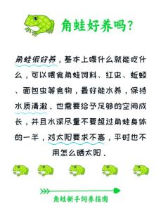 学生适合养角蛙吗_学生党养宠物蛙，角蛙好养又省钱