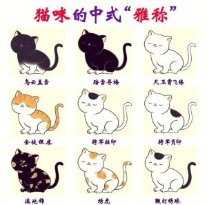 中国八大名猫雅称_乌圆狸奴雪姑等猫咪名字解析