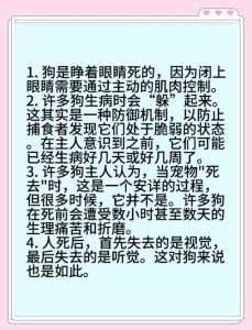 狗闻了什么会死_狗狗闻香水风油精等会难受，注意避开这些刺激味