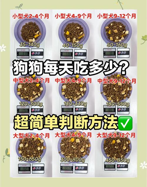 成年牧羊犬一天吃多少斤狗粮_因年龄体重活动量而异 成年牧羊犬一天吃多少斤狗粮_因年龄体重活动量而异