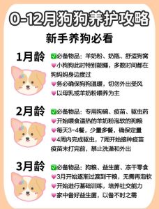 狗狗不缺营养用补吗_因宠而异，需谨慎选择