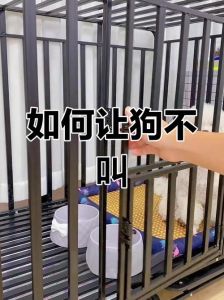 幼犬关进笼子就叫怎么办_小狗进笼子乱叫怎么办？试试这些方法！