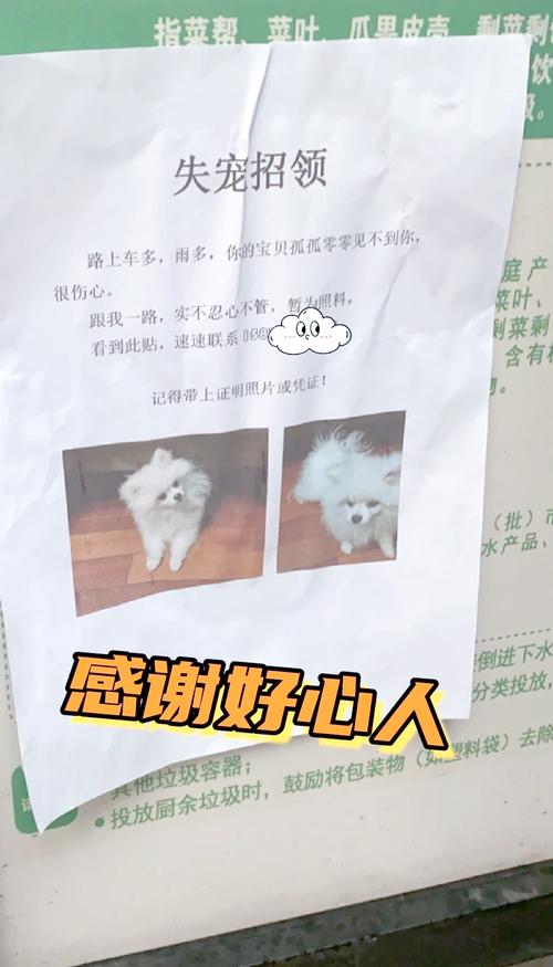 小狗一离开人就叫怎么办_狗狗出门吠叫怎么办？依赖主人别骂它，耐心训练是关键！