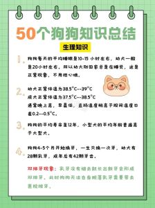 写个养小狗注意事项全面一点_时间金钱家庭？小狗脆弱先检查，备好basics！