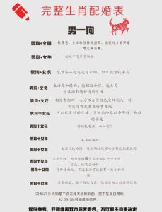 男牛女狗谁更爱对方_狗牛情侣性格差异大？多理解沟通才能甜！