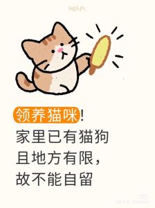 西安线上领养猫狗，帮它们找新家，要求有房有工作！