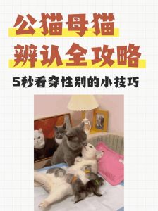 猫咪闻来闻去认公母，全凭这灵敏鼻子！