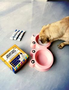 猫狗可以吃奶粉_小猫小狗喝奶粉有讲究，别乱喂，选对才健康！