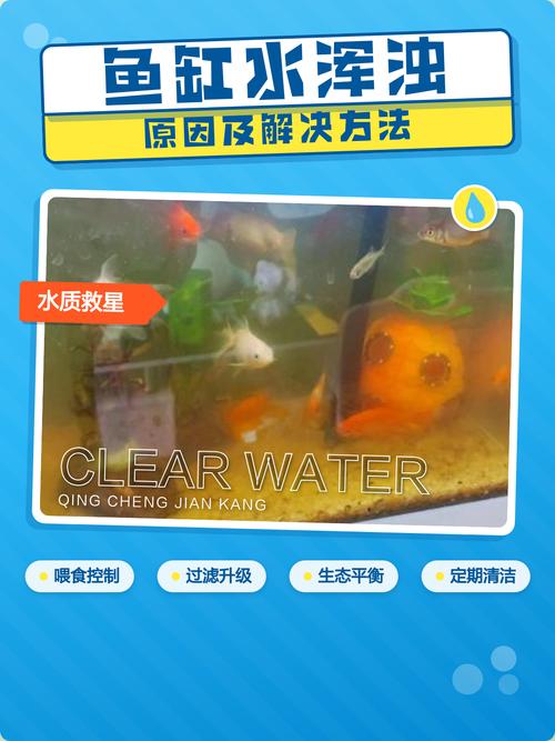 鱼缸水三四天就浑怎么办_牛奶色加净水剂，水白加强过滤，养好细菌水质稳