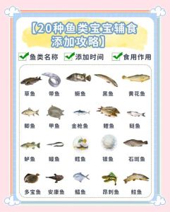 冬天鱼食几天喂一次_水温喂食换水与鱼缸空间注意事项