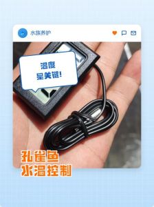 凉开水可以养孔雀鱼吗_凉开水养孔雀鱼？小心伤了鱼儿！