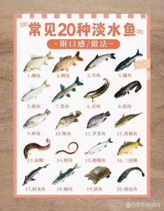 最好吃十大淡水鱼_家常清蒸鱼鲜美，鲈鱼鳜鱼黄河鲤，红烧清蒸黄颡鱼，鲶鱼滋补超好吃！