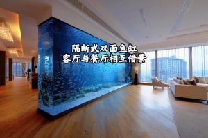 客厅能同时放两个鱼缸吗_位置高度与形状解析