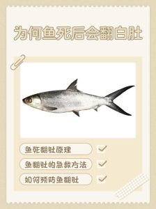 鱼横着但没有死是什么原因_鱼横着游怎么办？鱼鳔问题水质不佳或喂食过多，调整水温和喂食，加盐辅助，细心观察水环境