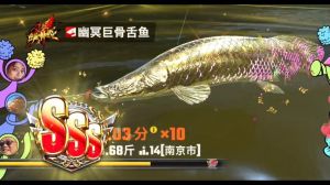 亚马逊最凶的十种鱼_鲇鱼拖船白鲟巨大大头鱼难钓
