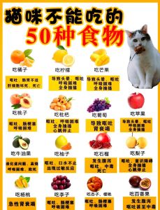 猫咪最忌讳的三种东西_牛奶巧克力洋葱，选对猫粮，科学喂养更健康