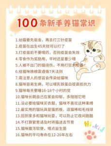 养猫的5个常识_选猫看健康性格，幼猫别太黏，注意饮食和异常信号