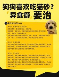 小狗吃了猫砂怎么办_小狗误食猫砂怎么办？